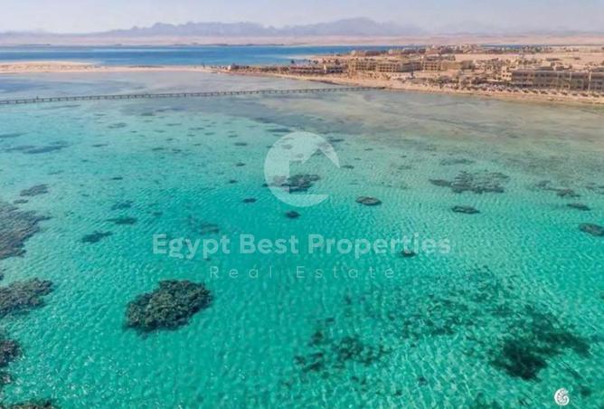 8069875 - Property Image 3