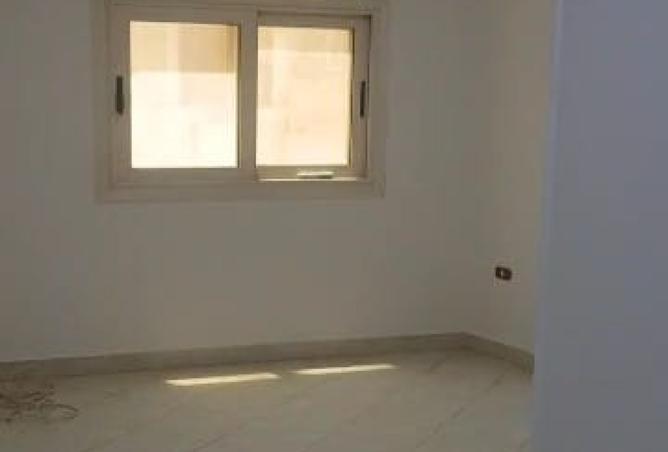 8292036 - Property Image 2