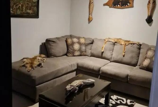 8373782 - صورة العقار 3