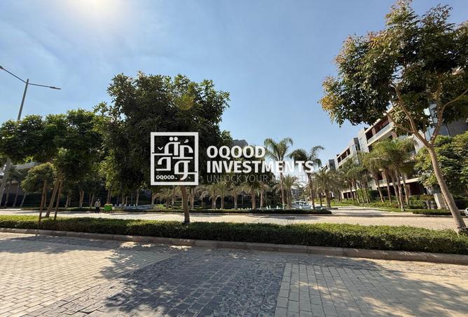 8149697 - Property Image 2