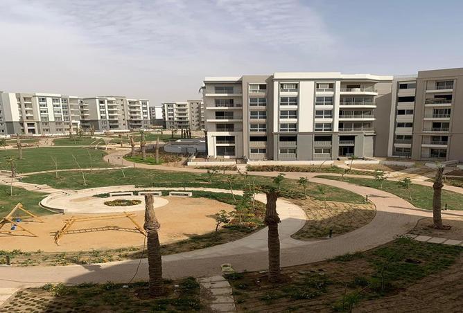 7979808 - صورة العقار 2