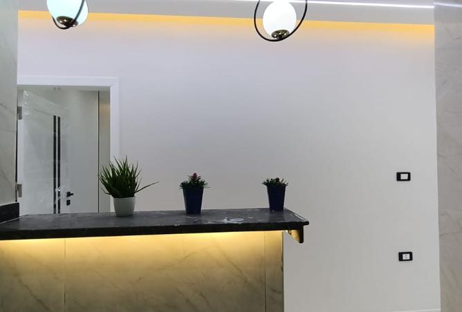 7914838 - Property Image 3