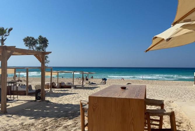 8442855 - Property Image 3