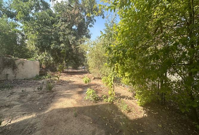 8348860 - صورة العقار 3