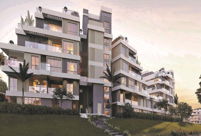 8475241 - Property Image 3