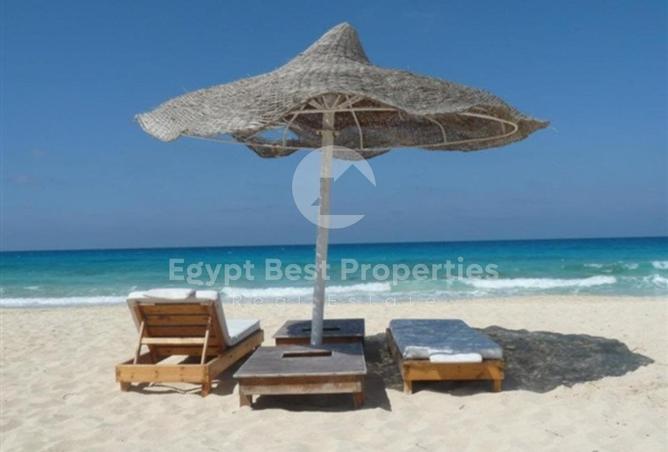 7887824 - Property Image 2