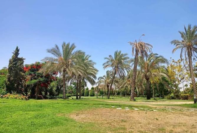 7921744 - صورة العقار 3