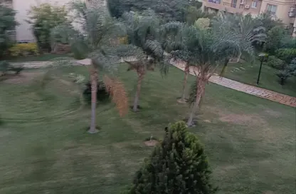 Apartment - 3 Bedrooms - 2 Bathrooms for rent in Privado - Madinaty - Cairo