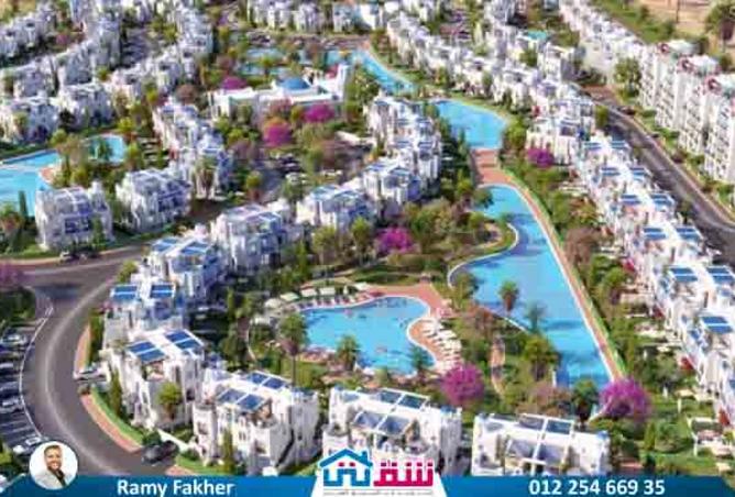 7909200 - Property Image 2