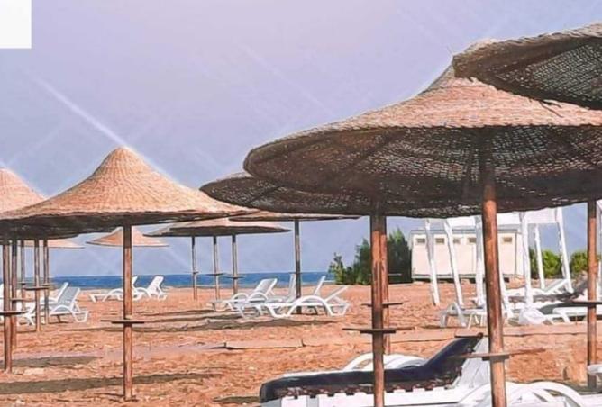 8493857 - صورة العقار 3