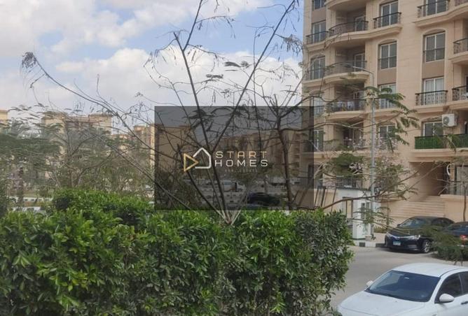 8375293 - Property Image 2