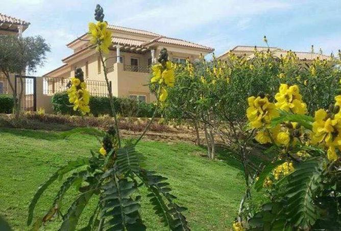 8164799 - صورة العقار 2