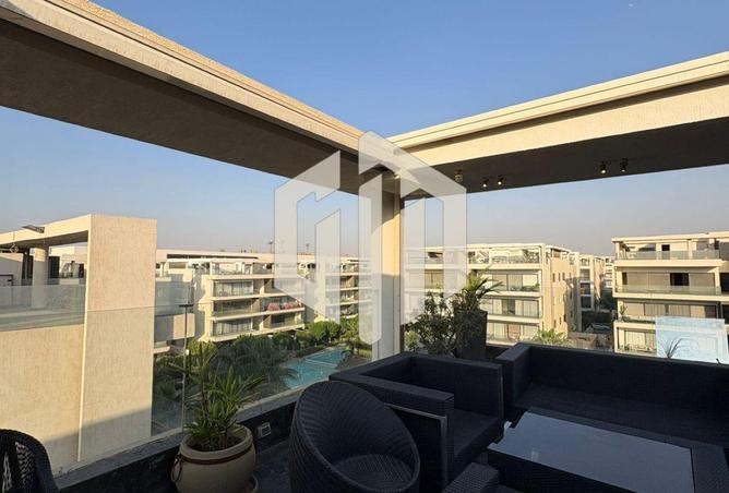 8058517 - Property Image 3