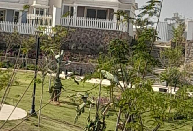 8165354 - Property Image 2