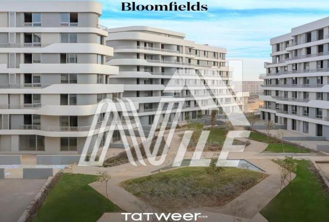 8117037 - Property Image 2