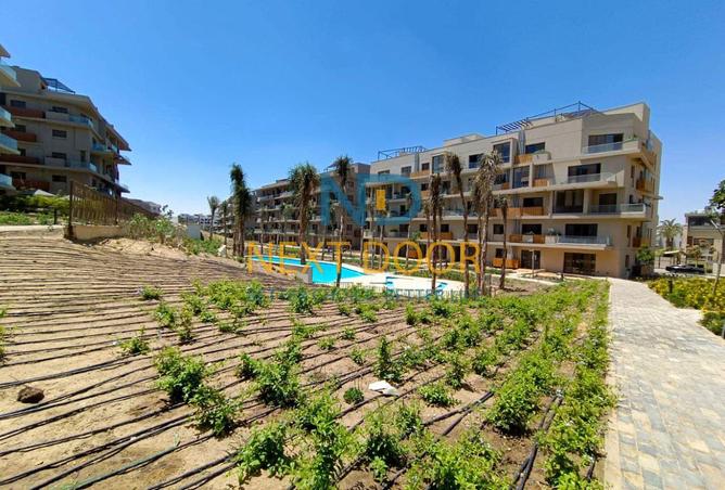 7896967 - Property Image 2