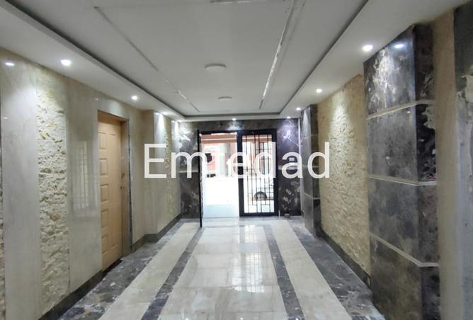 8255553 - Property Image 3