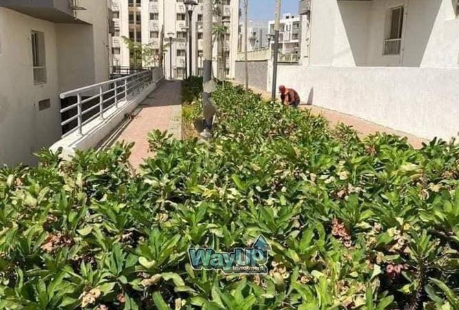 8467801 - صورة العقار 3