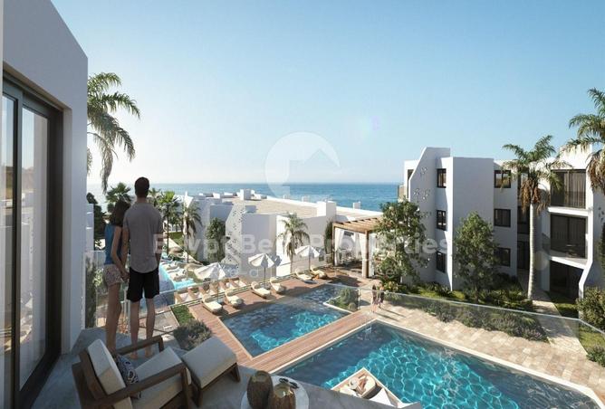 8327509 - صورة العقار 3