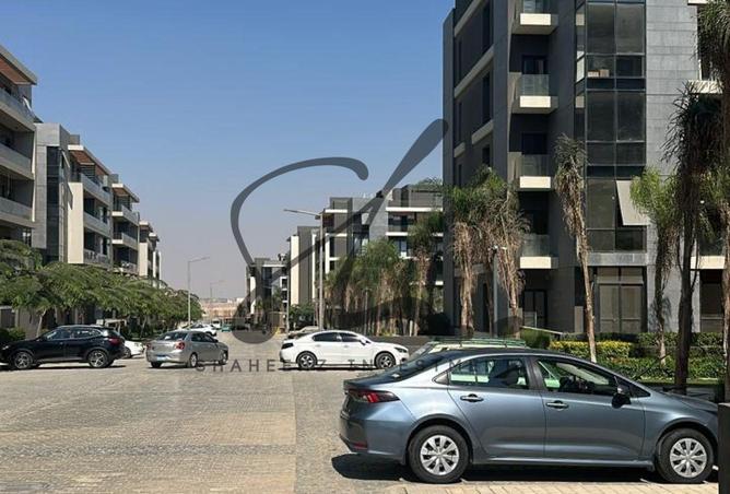 8236254 - Property Image 2