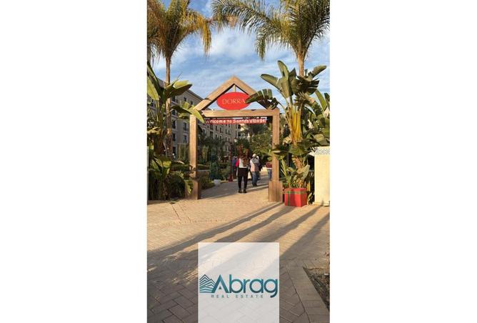 8509393 - Property Image 3