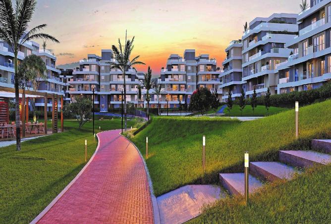 8422621 - Property Image 3