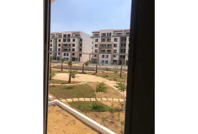 8247742 - Property Image 3