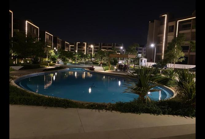 8147437 - Property Image 3