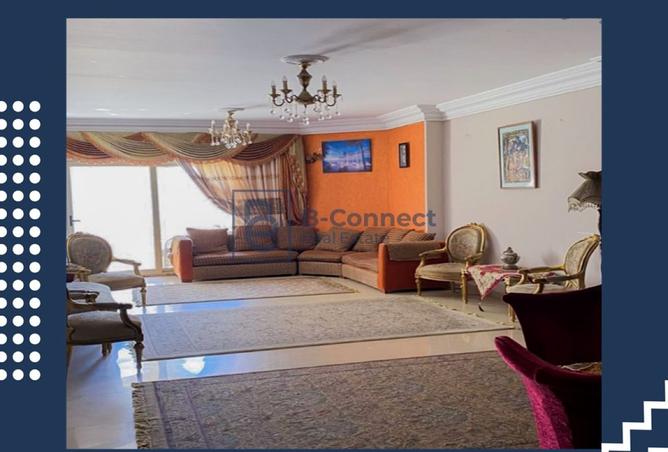 8084611 - Property Image 3