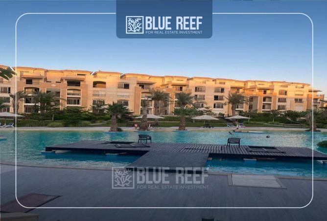 8266119 - Property Image 3