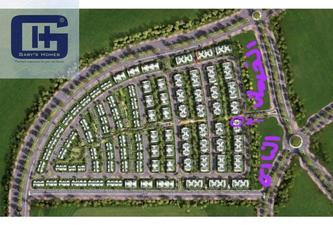 8136420 - Property Image 2