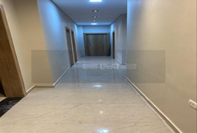 7995069 - صورة العقار 3