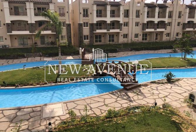 8139861 - Property Image 3