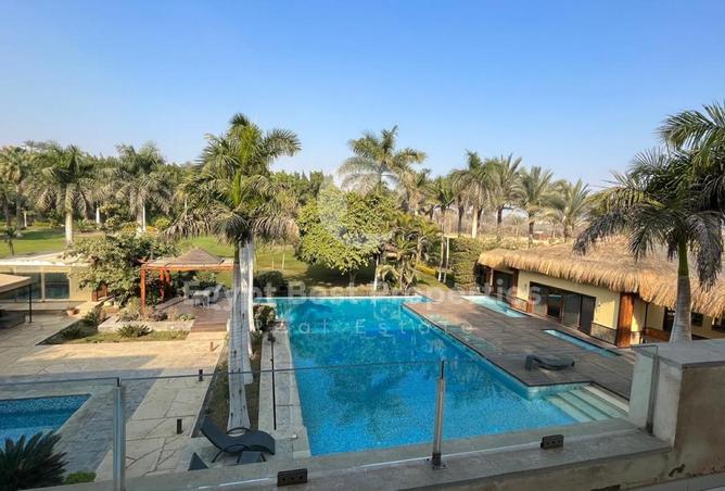 8067736 - Property Image 2