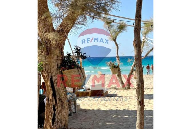7967081 - الصورة الرئيسية للعقار