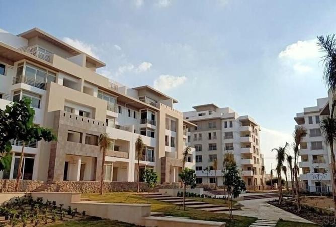 8233987 - Property Image 3