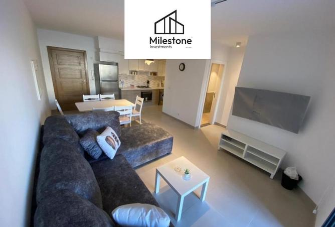 8516798 - Property Image 2