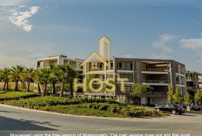 8154893 - Property Image 3