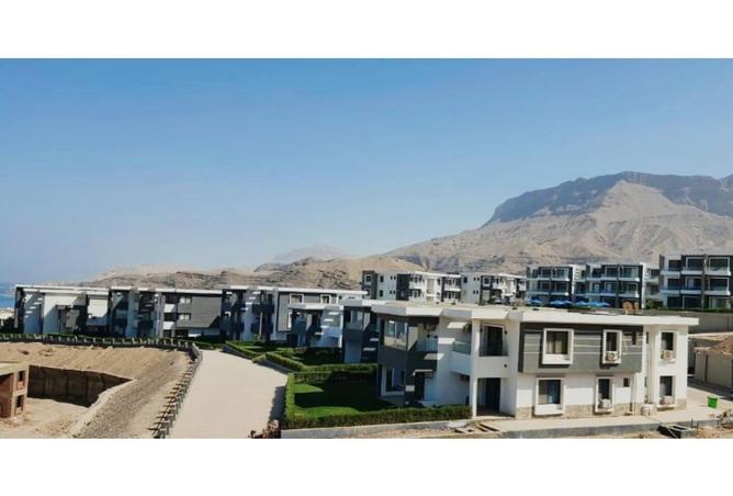 8217440 - صورة العقار 3