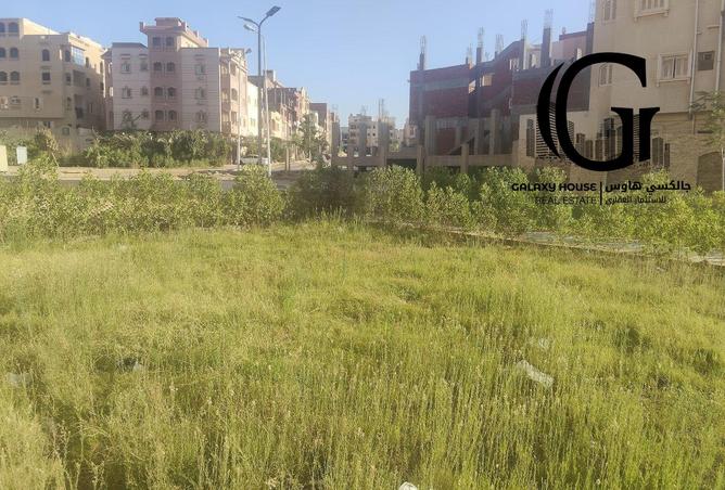 8021460 - صورة العقار 3