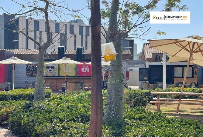 6669316 - صورة العقار 3