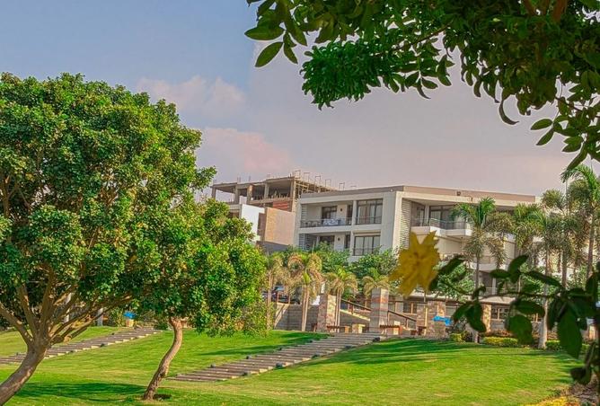 8255048 - الصورة الرئيسية للعقار