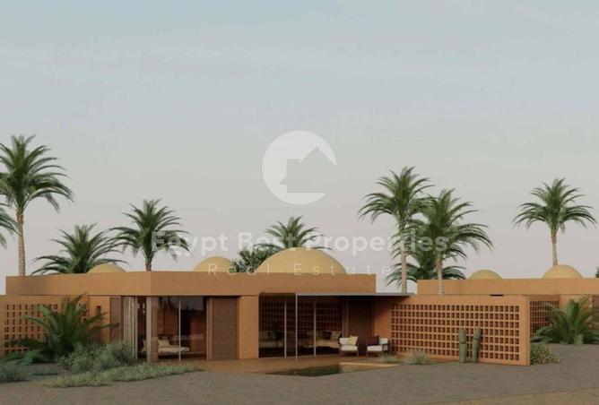 8441426 - Property Image 3