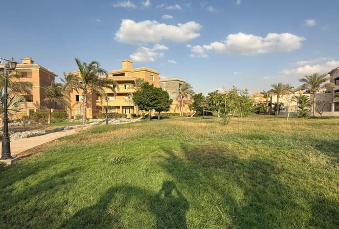 7978822 - Property Image 3
