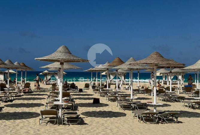 8175679 - صورة العقار 3