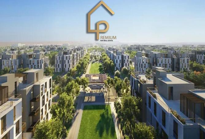 8197609 - Property Image 3