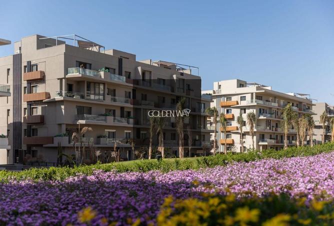 8458392 - صورة العقار 2