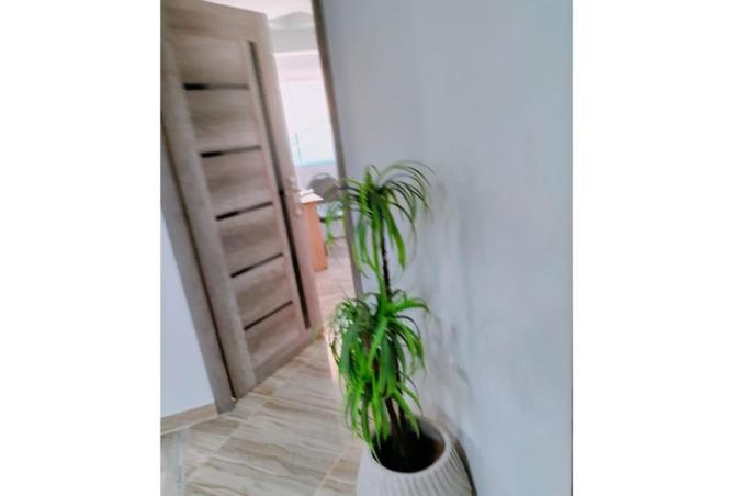 8442143 - Property Image 3