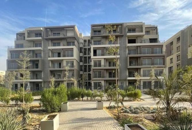 8024946 - Property Image 3