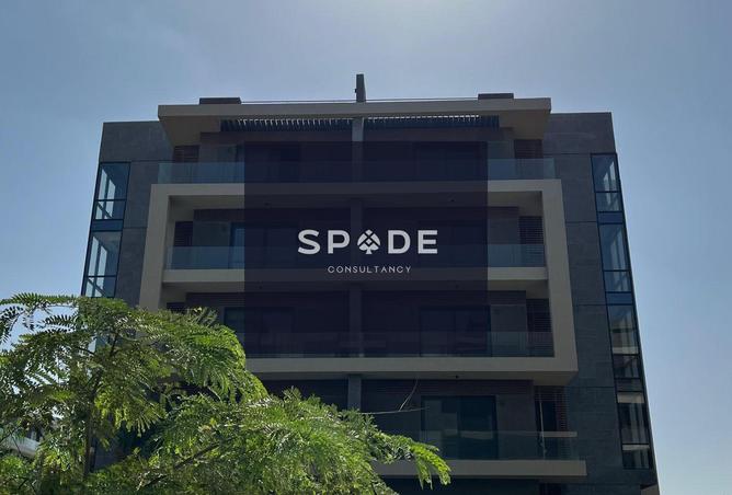 8176313 - صورة العقار 2